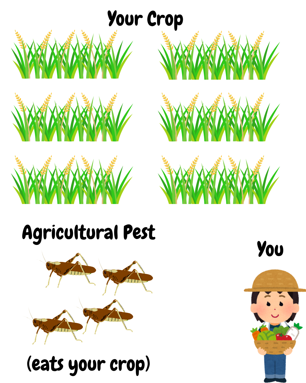 introduction image